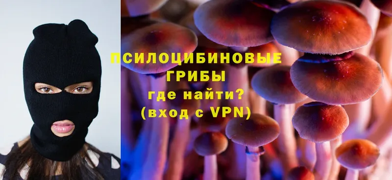 МЕГА зеркало  Нефтегорск  Галлюциногенные грибы Psilocybe 